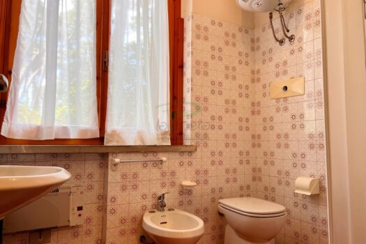 ARAGOSTA 41 – BILO PT