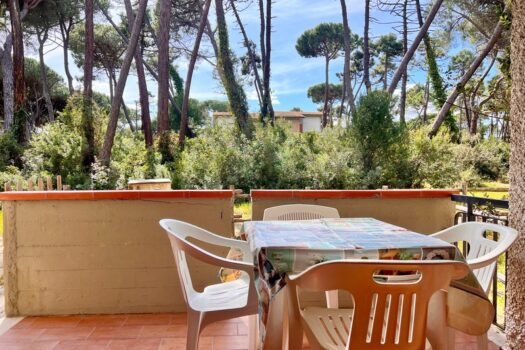 ARAGOSTA 47 – TRILO PT