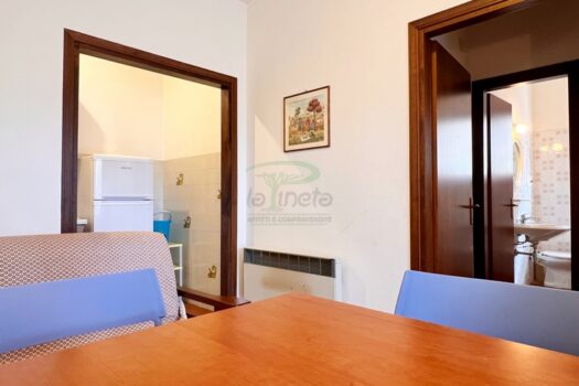 ARAGOSTA 47 – TRILO PT