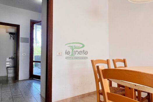 TRIGLIA 36 – VILLETTA A SCHIERA