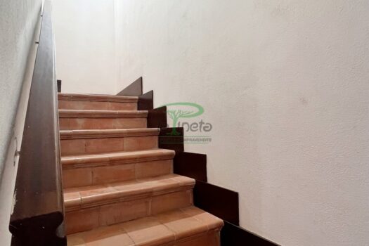 TRIGLIA 36 – VILLETTA A SCHIERA