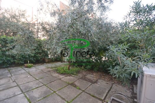 VIA DELFINO 219- TRILO PIANO TERRA