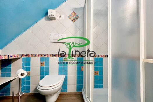 STORIONE 59 – VILLA A SCHIERA