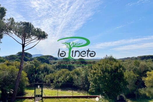 STORIONE 59 – VILLA A SCHIERA