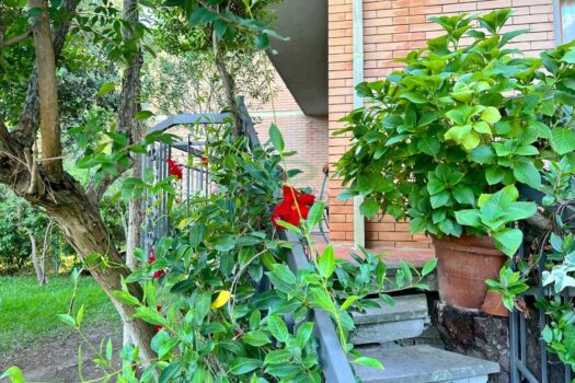VILLA – VIA SCORFANO